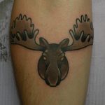 Moose by James Jameserson