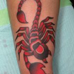 Scorpion by James Jameserson