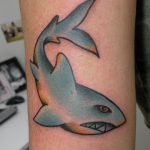 Shark by James Jameserson