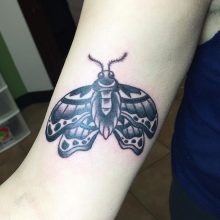 Teemu Moth Tattoo